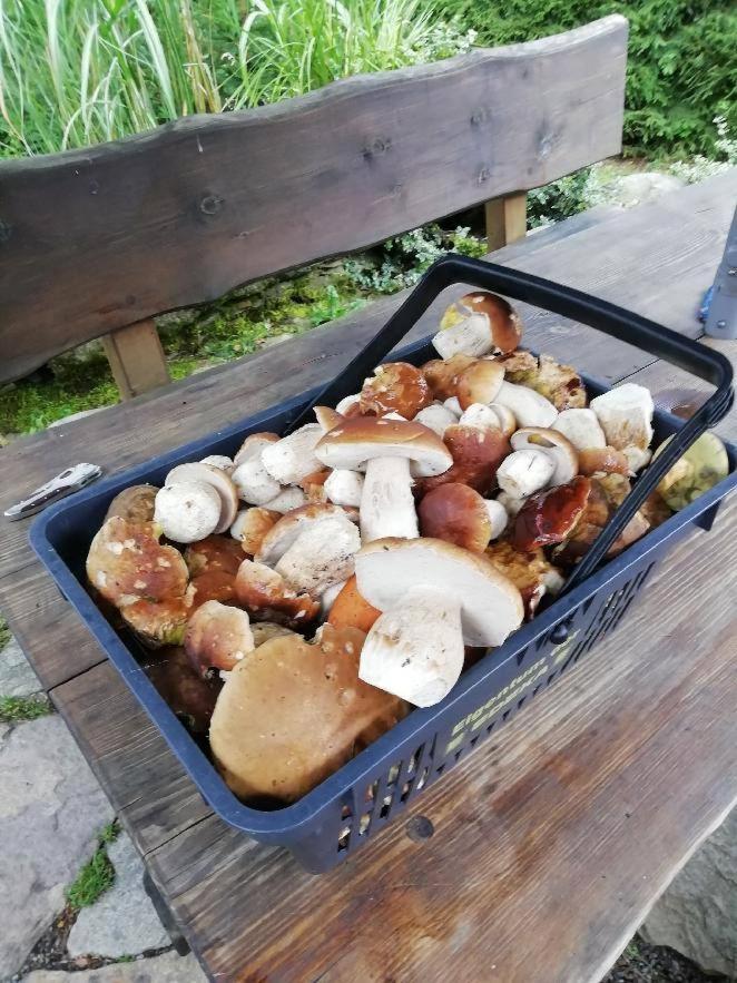 Chata Venda Lipno nad Vltavou Exterior foto